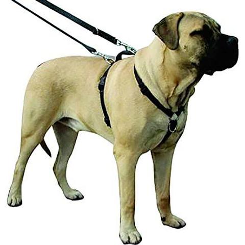 Kumfi Complete Control Harness - Extra Large 70-95cms chest    Measure around body before front legs
