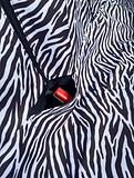 Car back seat cover - Black & White Zebra